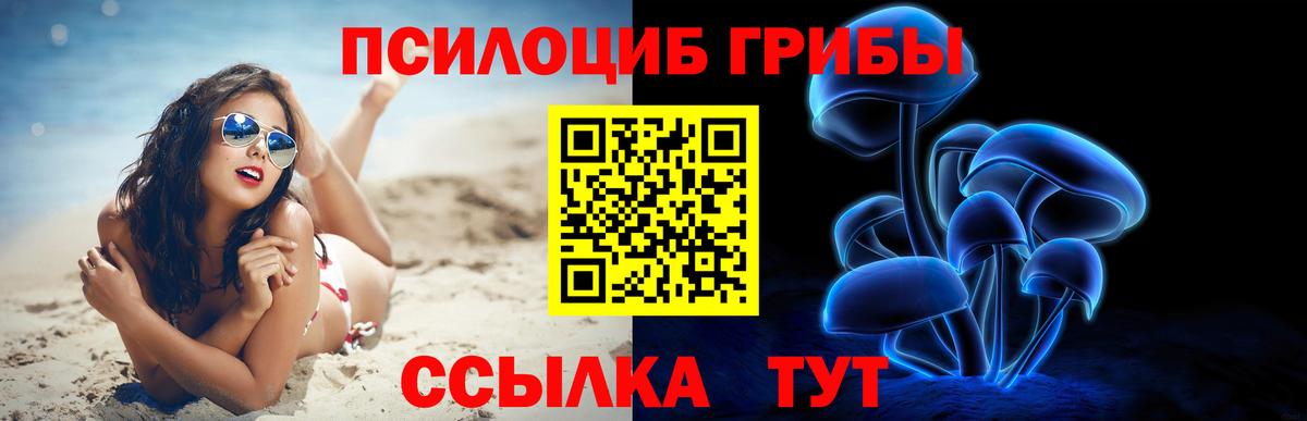 Балашиха  Галлюциногенные грибы Cubensis  Вход с VPN 